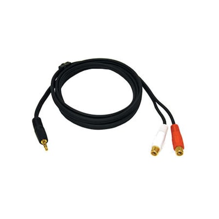 Fasttrack 6Ft 3.5Mm Stereo Male To Rca Female Y-Cable FA56895